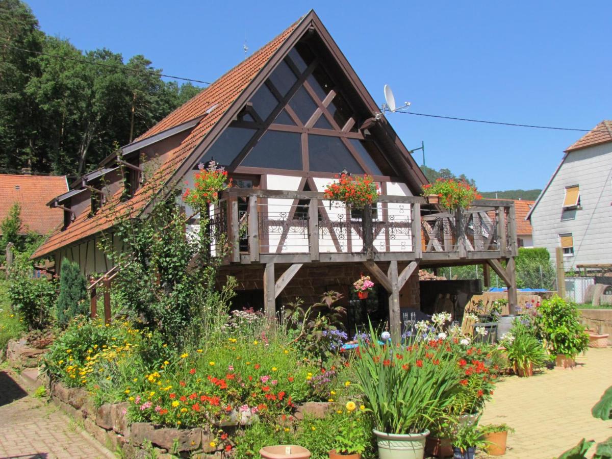 Obersteinbach Gite Des Chateaux-Forts מראה חיצוני תמונה