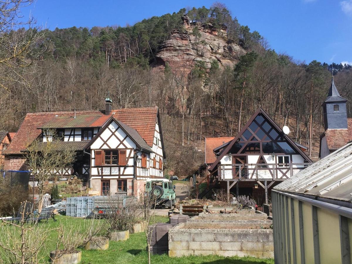 Obersteinbach Gite Des Chateaux-Forts מראה חיצוני תמונה